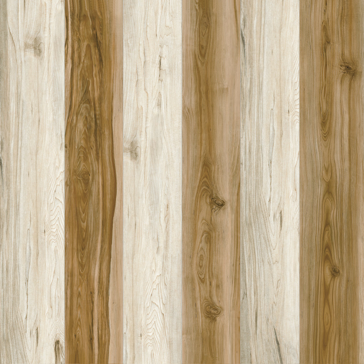 Brown Tundra Polished Porcelain 600x600 (R 329.90/m2)