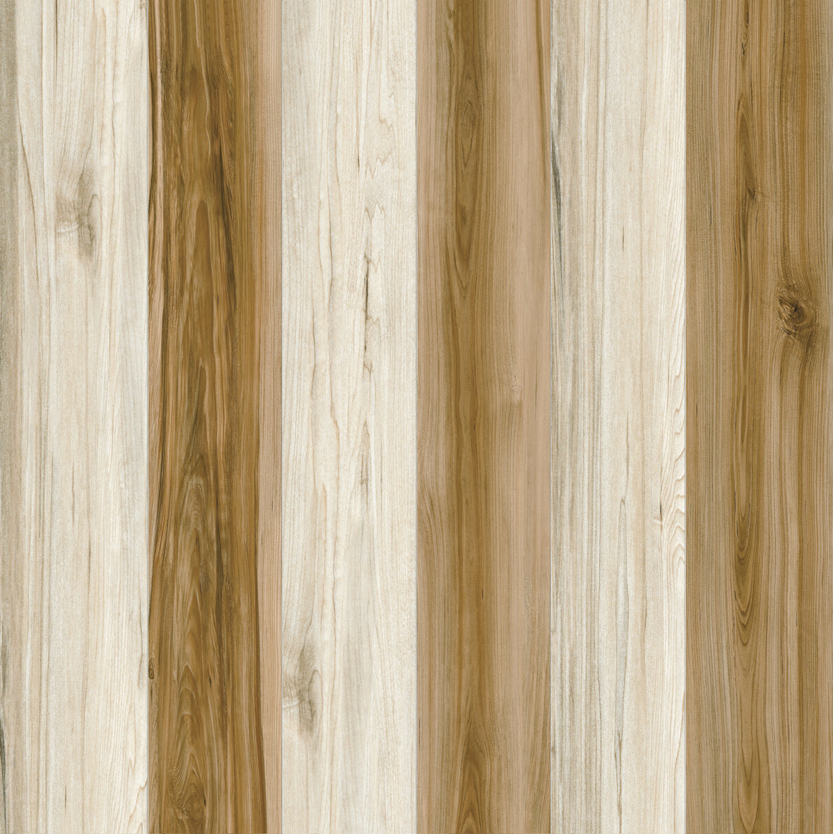 Brown Tundra Polished Porcelain 600x600 (R 329.90/m2)