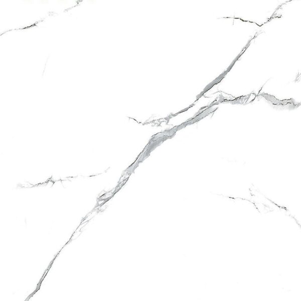 Aralia White Polished Porcelain 600x600 (R 329.90/m2)