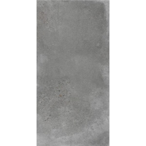 Repen Dark Matt Porcelain 600x1200 (R499.90/m2)