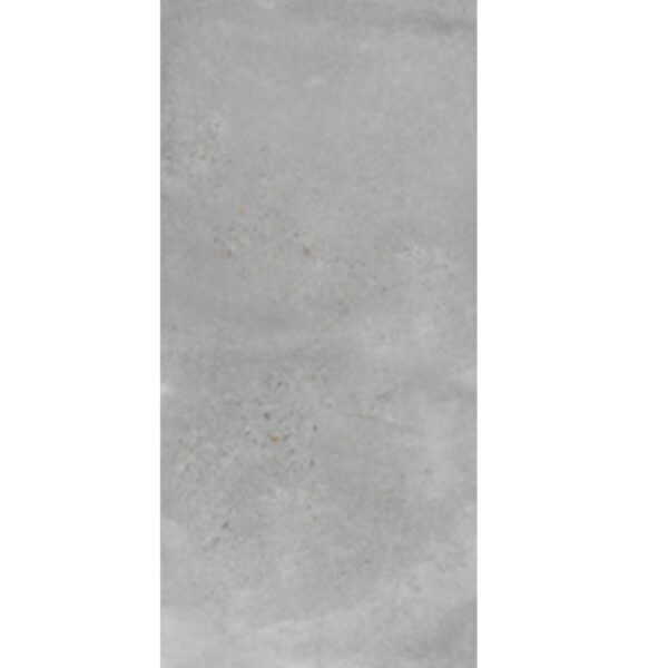 Repen Grigio Matt Porcelain 600x1200 (R499.90/m2)
