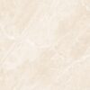Venus Pink Polished Porcelain 600x600 (R 329.90/m2)