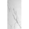 Beryl Mirror Polished Porcelain 600x1200 (R499.90/m2)