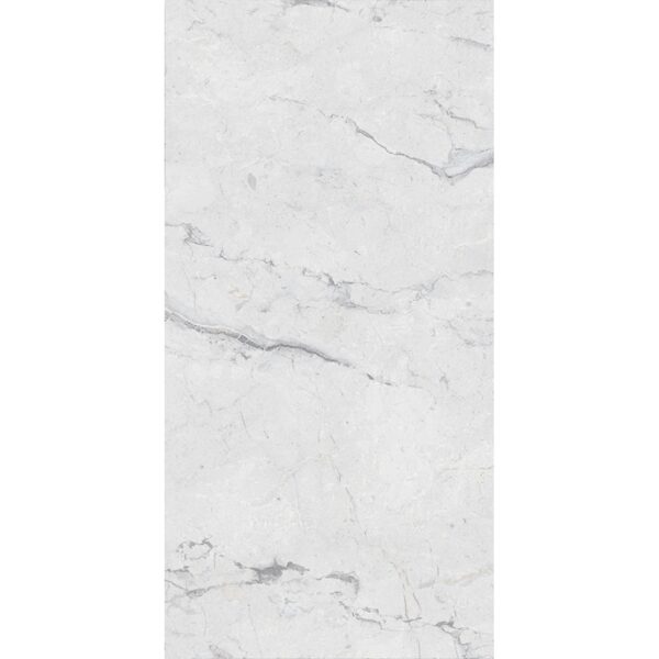 Roman Silver Matt Porcelain 600x1200 (R499.90/m2)