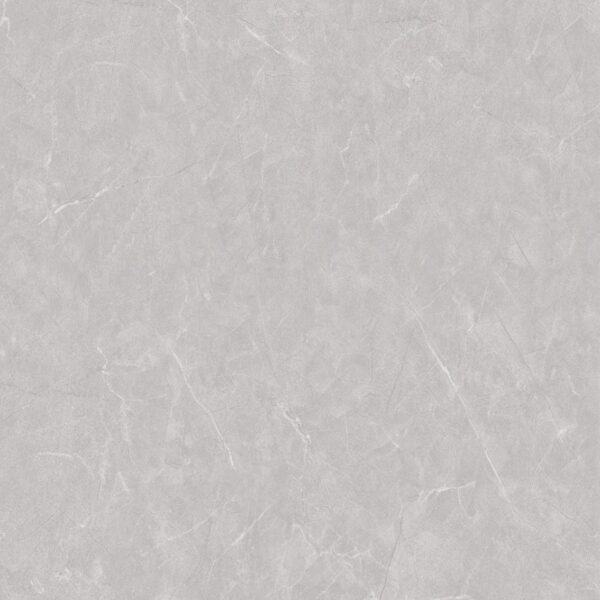 Panda Grey Polished Porcelain 600x600 (R 329.90/m2)