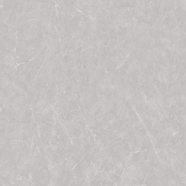 Panda Grey Polished Porcelain 600x600 (R 329.90/m2)