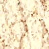 Wallflower Glitz Polished Porcelain 600x600 (R 329.90/m2)