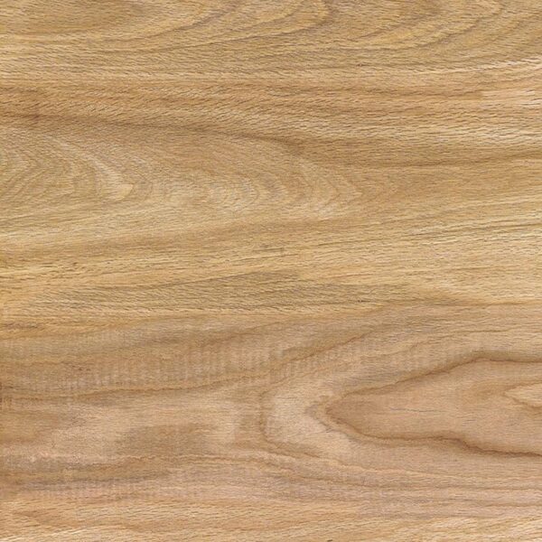 Oak Fern Polished Porcelain 600x600 (R 329.90/m2)