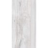 Nordic Grey Wood Look Tile 250x500 (R239.90/m2)