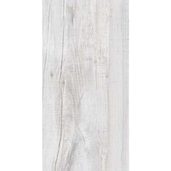 Nordic Grey Wood Look Tile 250x500 (R239.90/m2)