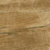 Brown Pine Polished Porcelain 600x600 (R 329.90/m2)