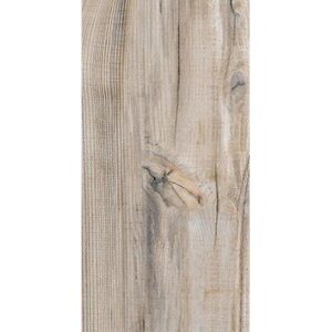 Oak Wood Look Tile 250x500 (R239.90/m2)