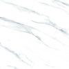 White Fin Polished Porcelain 600x600 (R 329.90/m2)
