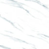 White Fin Polished Porcelain 600x600 (R 329.90/m2)