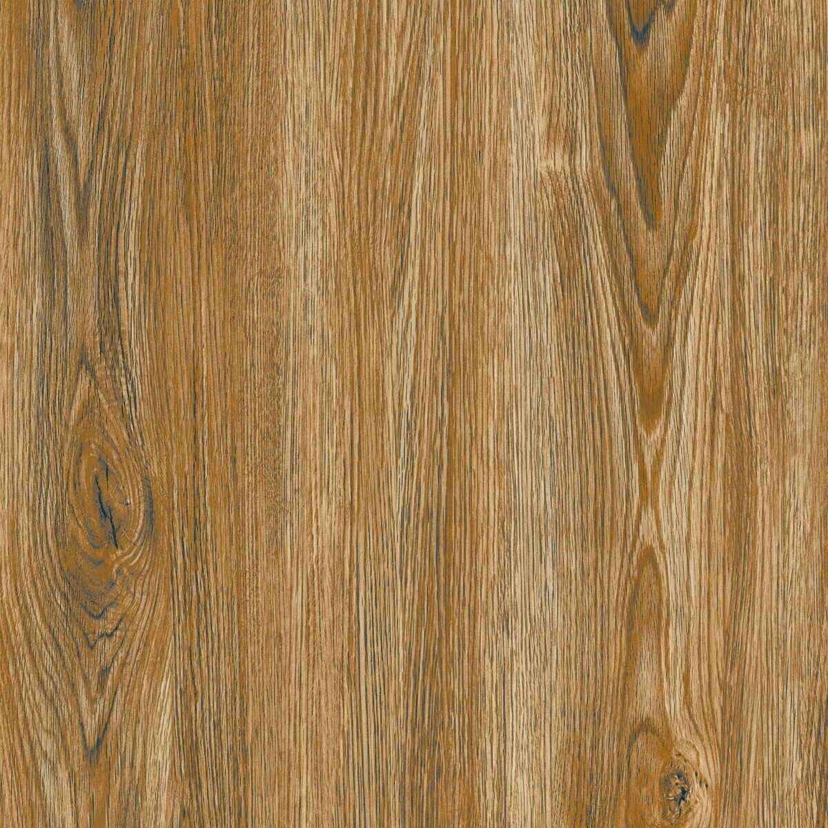 Den Oak Polished Porcelain 600x600 (R 329.90/m2)